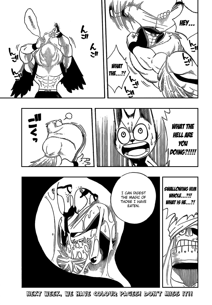 Fairy Tail Chapter 88 17